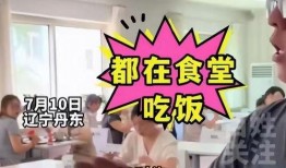 辽宁最新爆料新闻视频,揭秘重大事件背后真相